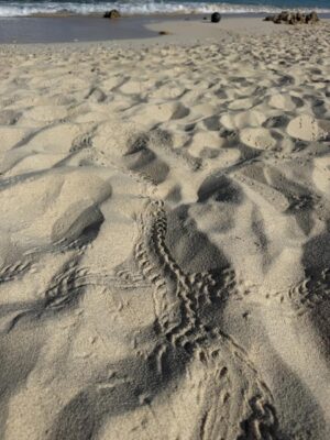 IMG_7484.jpeg